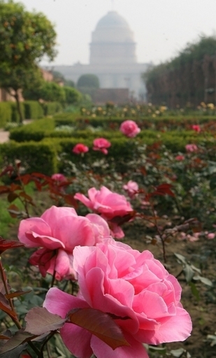 庭に地雷を仕掛けた男に有罪判決、ロシア