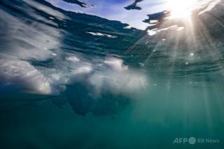 海洋温暖化の速度がほぼ2倍に EU