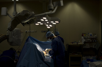 心細胞をペースメーカーにする遺伝子治療、動物実験で成功 米研究