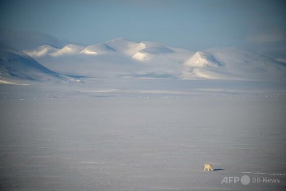 ロシアと中国、ノルウェー領スバルバル諸島でプレゼンス強化