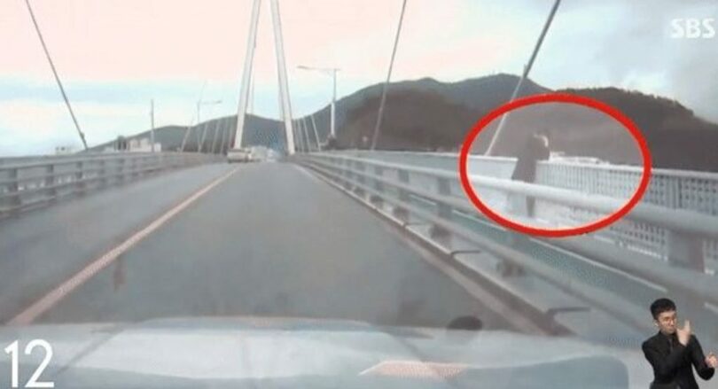 SBSニュースキャプチャー(c)news1