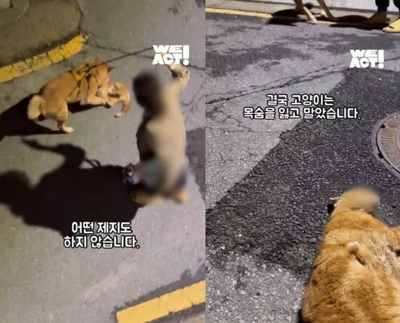 「ウィアクト」インスタグラム(c)news1