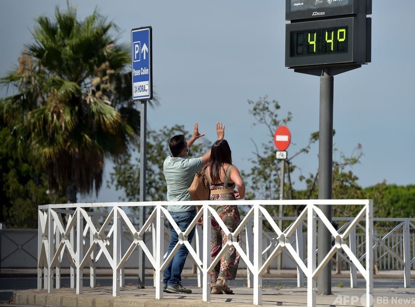  暑っ！ 動物も涼求め スペイン南部で38度に