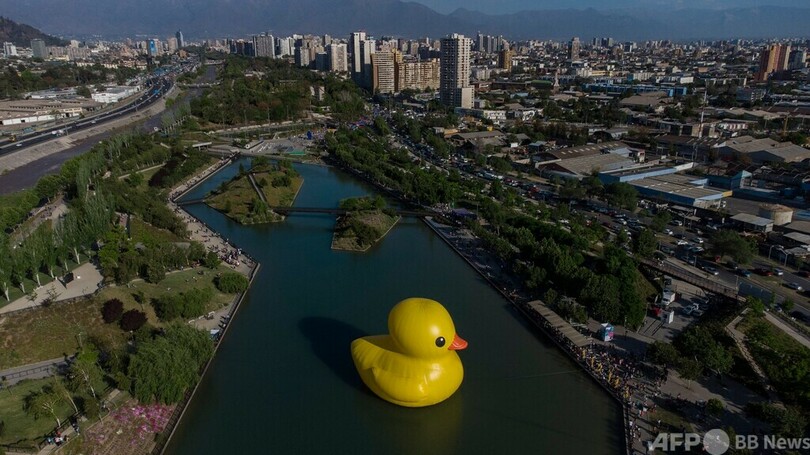 【今日の1枚】ビルより高い？ 巨大アヒル チリ