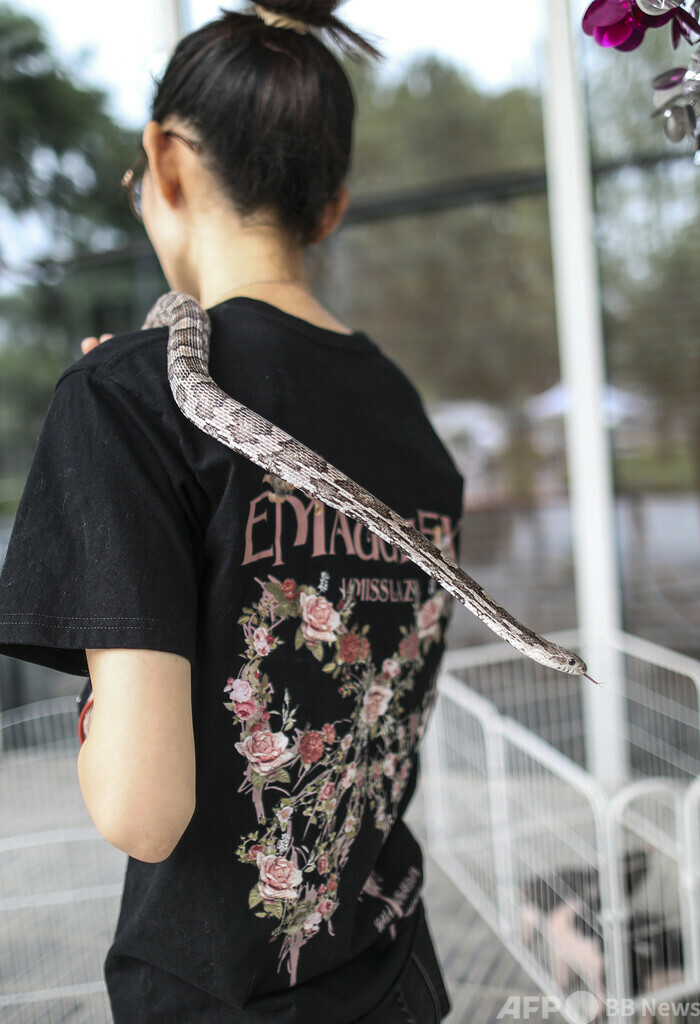 中国で珍しいペットの飼育がブーム