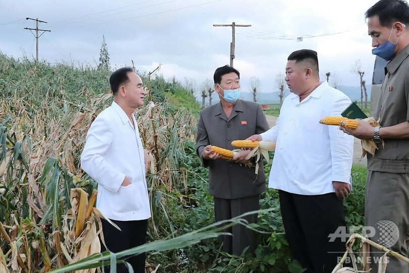 正恩氏が台風8号被災地を視察、被害小さく「幸運」と評価