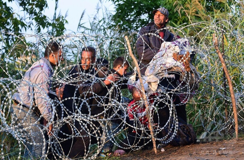 有刺鉄線くぐってハンガリー入りする移民たち