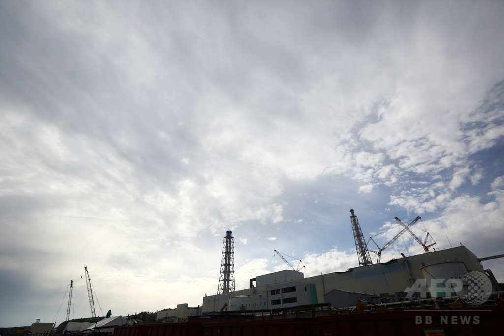 福島第1原発周辺の森林、突然変異やDNA損傷 グリーンピース報告 福島第1原発周辺の森林、突然変異やDNA損傷 グリーンピース報告