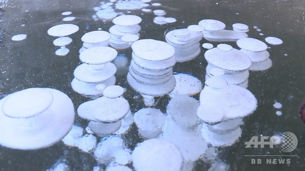 動画 氷の中の神秘 蓮花湖のアイスバブル 中国 黒竜江省 写真1枚 国際ニュース Afpbb News