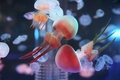浙江省嘉興博物館では「クラゲファンタジー 清涼の夏」が開催中。来場者を魅了している（2017年6月20日撮影）。(c)CNS/金鵬