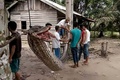 インドネシア・スマトラ島のバタンガンサル地区で、殺された巨大なニシキヘビのそばに集まった住民ら。地元警察提供（2017年9月30日撮影、10月4日公開）。(c)AFP/BATANG GANSAL POLICE