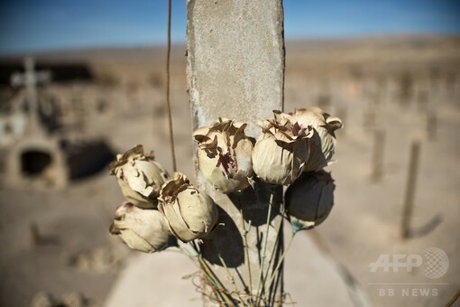 繁栄、今いずこ チリ硝石の採掘基地遺構 写真20枚 国際ニュース：AFPBB