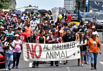 動物愛護訴えデモ行進、水遊びする犬も コスタリカ