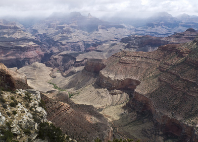 グランドキャニオンにリス蹴落した男、愛護団体が懸賞金150万円