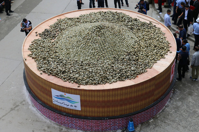 巨大「せいろ」ギネス記録に、貴州省