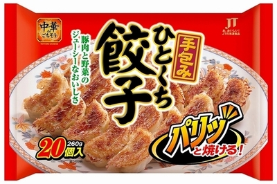 中国製ギョーザ問題、非公表は「中国の要望」と高村外相