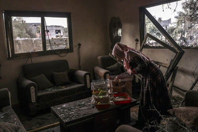 【今日の1枚】かごの鳥、安否を確認 パレスチナ自治区