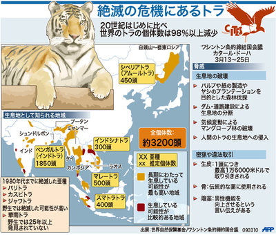 【図解】絶滅の危機にあるトラ