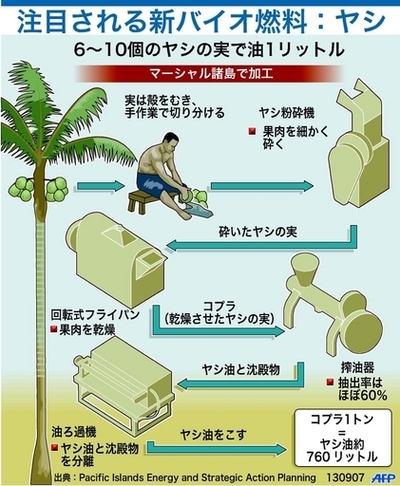 代替エネルギーとしてヤシ油が注目集める