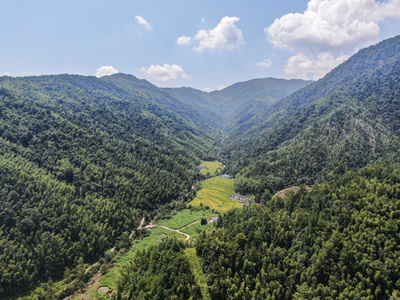 中国の森林食品産業の発展