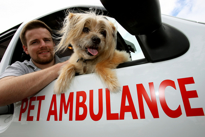 ペットのための救急車、金融危機でもビジネス好調