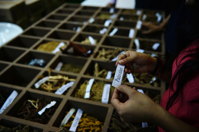 WHO、インドに伝統医学センター開設