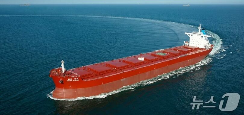 Sinokorのホームページ(c)news1