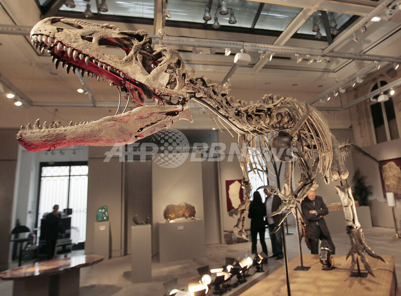 恐竜や大型肉食獣の化石、サザビーズが5日競売へ