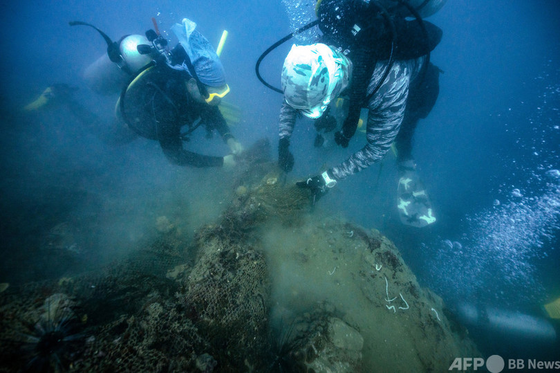 幽霊 漁網回収で一石二鳥 生物保護とコロナ対策 タイの新事業 写真15枚 国際ニュース Afpbb News