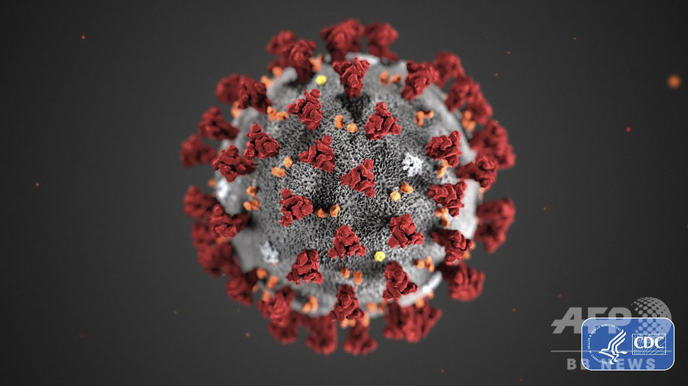 ウイルスを中和する 有望な 抗体発見 オランダ研究 新型コロナ 写真3枚 国際ニュース Afpbb News