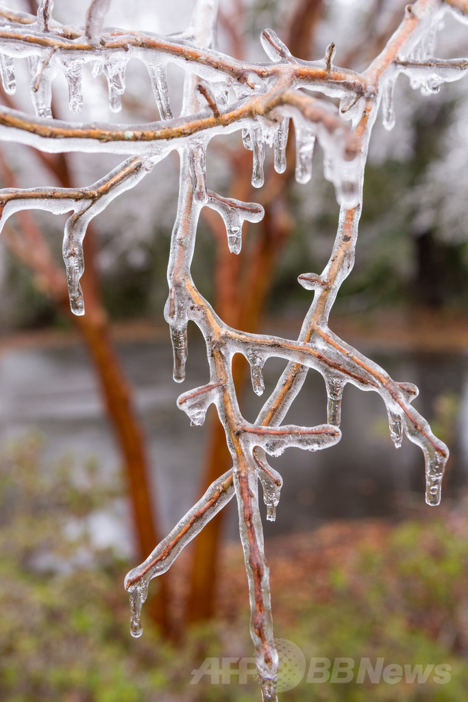 米南東部に冬の嵐、路面凍結・停電で市民生活に混乱