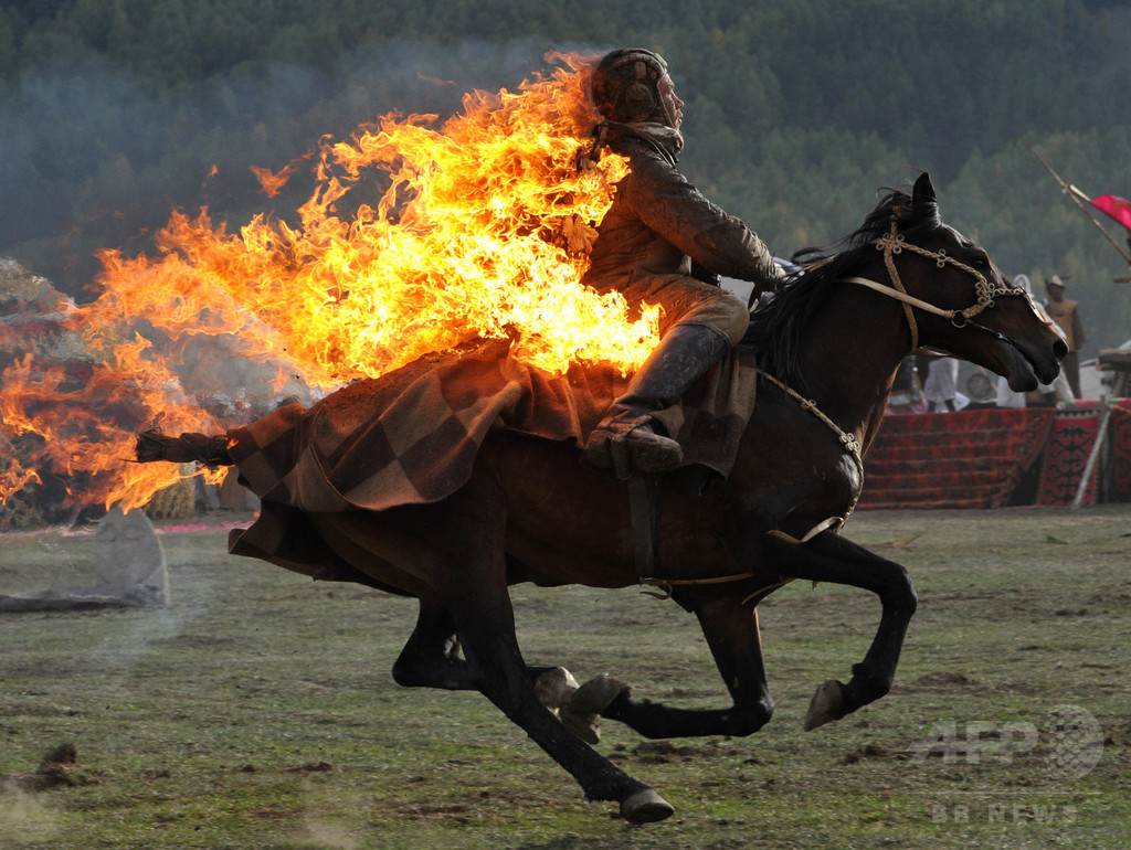 【特集】仰天・おもしろ写真集2013・14