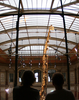 独ベルリン（Berlin）の自然史博物館（Museum of Natural History）に展示されたブラキオサウルスの骨格標本（2007年7月10日撮影、資料写真）。(c)AFP/DDP/MARCUS BRANDT