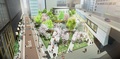 東急プラザ銀座(c)TOKYU PLAZA GINZA