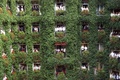 パリ（Paris）・モンテーニュ通り（Avenue Montaigne）にある老舗ホテル「プラザ・アテネ（Plaza Athenee）」の中庭に面するバルコニーで記念撮影をする従業員ら（2013年10月1日撮影）。(c)AFP/FRED DUFOUR
