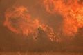 スペイン北部サモラ近郊の山火事の消火を行う消防隊員（2022年6月18日撮影）。(c)CESAR MANSO / AFP