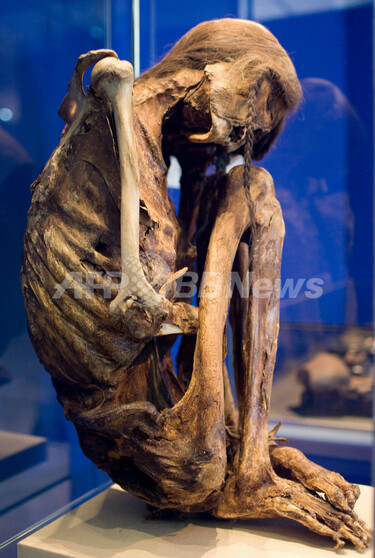 世界最大のミイラ展、70体が一挙集合 写真9枚 国際ニュース：AFPBB News