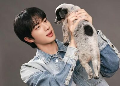 BTSジン、「ギャップが魅力的なスター」1位に