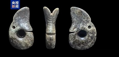 中国の紅山文化発掘調査 最大の玉龍を発見