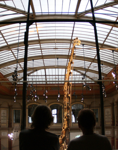 2億年前の大型恐竜、本当は重くなかった 英米研究