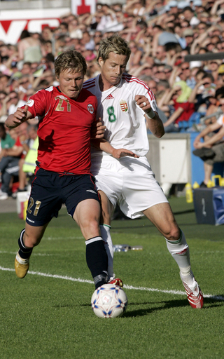 ＜サッカー 欧州選手権2008・予選＞ノルウェー 4点を奪いハンガリーに快勝