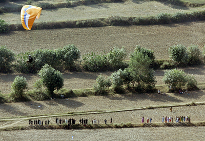 パラグライダーが墜落、木の上に8時間「立ち往生」 - オーストラリア