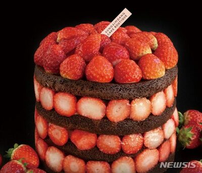 韓国で著名な「聖心堂」、クリスマスケーキ公開でネット沸騰…“オープンラン予告”続出