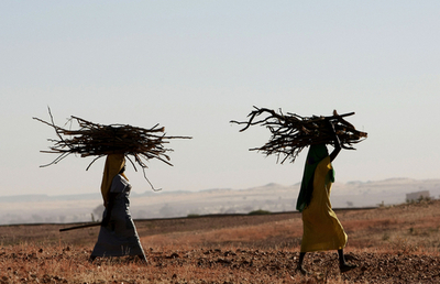 米国連大使、スーダン政府「合同平和維持部隊の受け入れ妨害なら」新たな制裁も