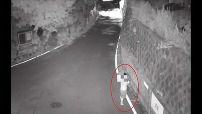 国際宅配便で薬物密輸・販売…韓国警察、タイ人と韓国人を摘発