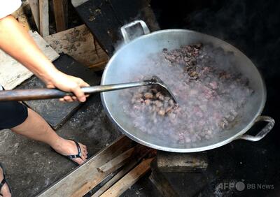 インドネシア首都、犬猫コウモリ肉の販売・食用を禁止 狂犬病予防で
