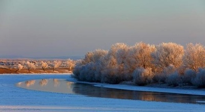 樹氷が見ごろ　中国・新疆ウイグル自治区
