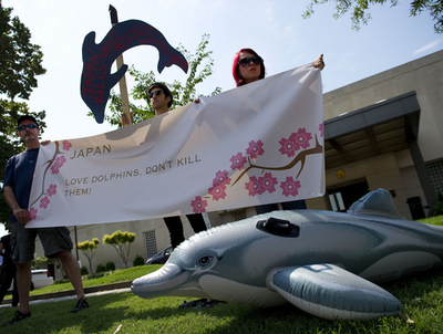 世界各地でイルカ漁抗議デモ