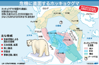 【図解】危機に直面するホッキョクグマ