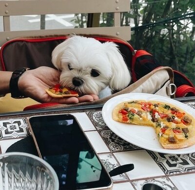 ソン・イェジン、ヒョンビンと週末デート? – KOREA WAVE